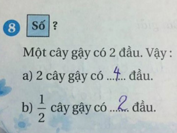 Một nửa cây gậy có mấy đầu?, bài toán tiểu học tưởng dễ nhưng khiến nhiều phụ huynh đau não