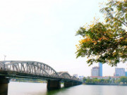 Lifestyle - Mê mẩn sắc hoa điệp vàng khoe sắc khắp phố phường xứ Huế