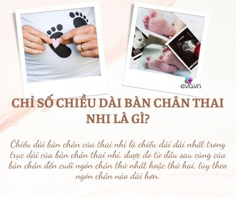 Chiều dài bàn chân thai nhi tiết lộ điều gì với mẹ? - 1