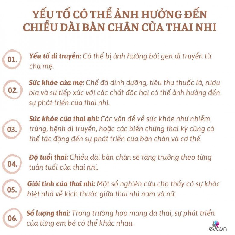 Chiều dài bàn chân thai nhi tiết lộ điều gì với mẹ? - 3