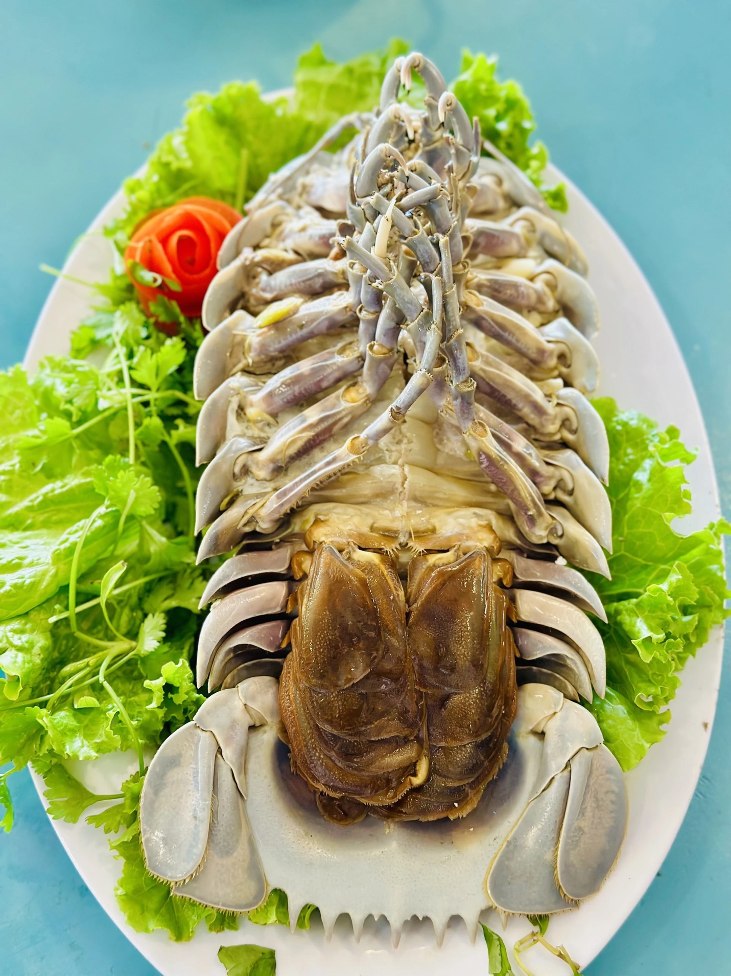 Mẹ bầu không nên ăn quá nhiều bọ biển trong một tuần.