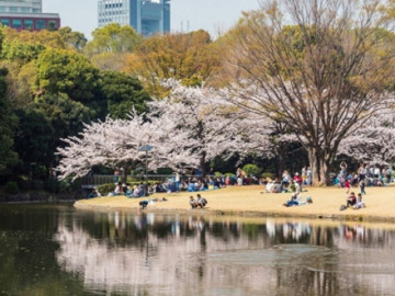 Khi nào là thời điểm tốt nhất để ghé thăm Nhật Bản?