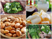 Tin tức - Ở Việt Nam có những thứ "cho không ai lấy", không ngờ lại sang chảnh, đắt đỏ thế này ở nước ngoài