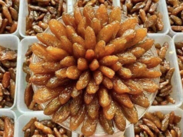 Loại quả xưa không ai biết đến, giờ thành món đặc sản ở thành phố có vị chua ngọt hấp dẫn, 170.000 đồng/kg