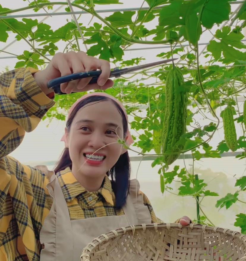 Xin mẹ mảnh đất để trồng rau, mẹ đảm Nha Trang mạnh tay đầu tư 200 triệu làm vườn - 11