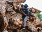 Tin tức - Bí ẩn gốc me tây có giá trị đến 24 tỷ đồng, 9 chú rồng xuất hiện bất ngờ dưới bàn tay tài hoa của nghệ nhân