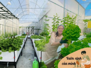 Nhà đẹp - Xin mẹ mảnh đất để trồng rau, mẹ đảm Nha Trang mạnh tay đầu tư 200 triệu làm vườn