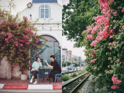 Lifestyle - Quên bằng lăng đi, ở Hà Nội hoa giấy cũng đang vào mùa nở rộ, nhuộm hồng khắp các tuyến phố