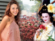 Làm đẹp - Loại quả Việt ở Nhật bán tiền triệu, là "thần dược" dưỡng nhan, chống lão hóa được phi tần xưa rất yêu