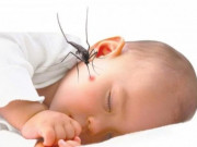 Sức khỏe - Trẻ dưới 1 tuổi liệu có bị sốt xuất huyết? Làm sao để biết trẻ đang chuyển bệnh nặng?