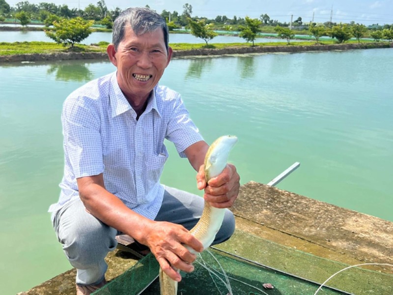 Ông Nguyễn Hữu Ánh (ngụ xã Tân Thành, TP Cà Mau, Cà Mau) thành tỷ phú ở tuổi xế chiều nhờ nuôi loài cá lạ - đó là con cá chình. Năm nào ông cũng thu lãi 1 tỷ đồng nhờ bán cá chình thương phẩm ra thị trường. 
