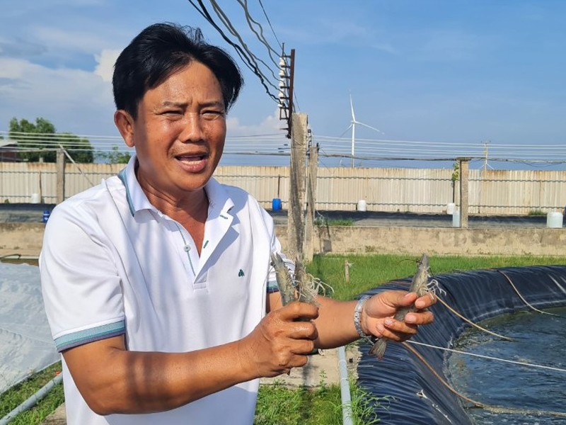 Cũng đầu tư nuôi tôm công nghệ cao, ông Đặng Văn Bảy (xã Thạnh Phong, huyện Thạnh Phú, tỉnh Bến Tre) thu nhập cả chục tỷ đồng mỗi năm. Ông đã có kinh nghiệm nuôi tôm 20 năm. Nhưng đến năm 2017, ông mới chuyển sang nuôi tôm theo mô hình công nghệ cao.
