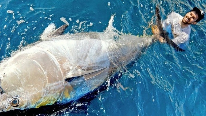 Người đàn ông câu được con cá ngừ khổng lồ nặng 360kg trên biển