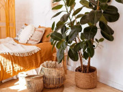Sức khỏe - 5 thứ "hút cạn" sinh lực khi để trên đầu giường vào ban đêm