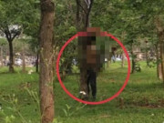 Tin tức - Công an truy tìm thông tin về vụ phát hiện thi thể trong vườn hoa ở Hà Nội