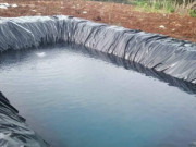 Tin tức - Rơi xuống hồ chứa nước tưới sầu riêng, cháu bé 3 tuổi tử vong