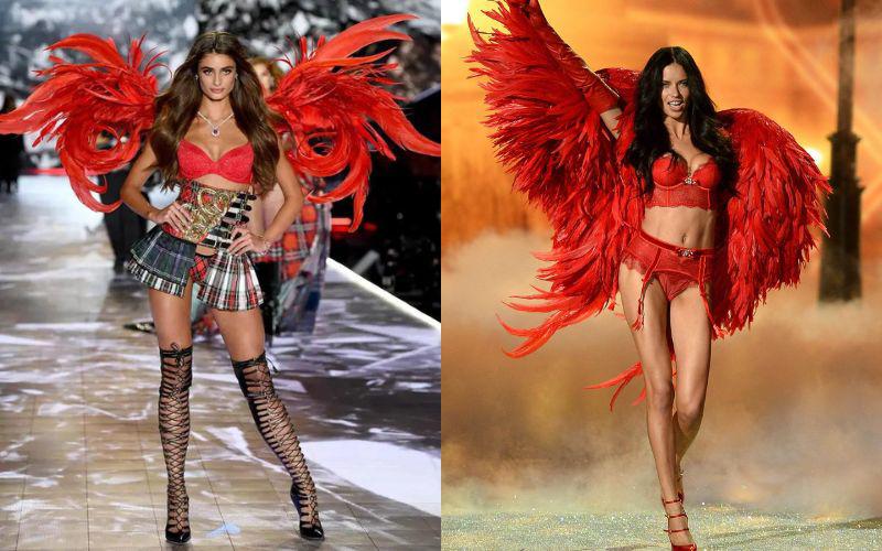 3. Người mẫu trình diễn phải có cơ thể tỷ lệ vàng: Những chân dài của Victoria's Secret thường có chiều cao từ 1,77 m đến 1,83 m. Số đo tối thiểu phải chuẩn tỷ lệ vàng với vòng một và vòng 3 đạt con số 86 cm cùng phần thắt eo chưa đến 60 cm.
