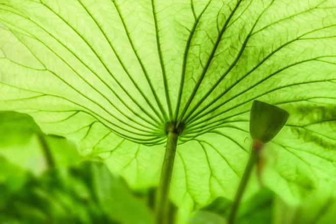 Người thông minh chỉ nói một nửa suy nghĩ, giấu đi một nửa khả năng - 1
