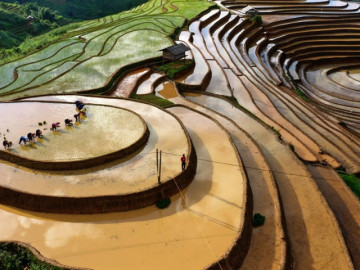 Kỳ quan đường lên trời vào mùa nước đổ ở Mù Cang Chải