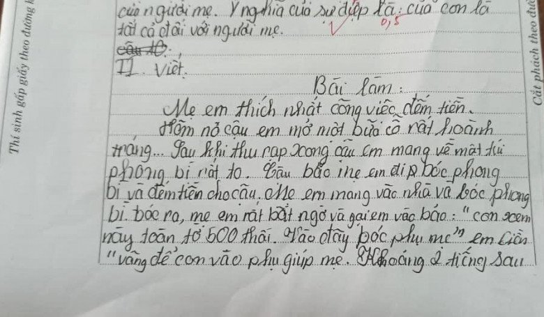 Bài văn tiểu học tả amp;#34;Công việc yêu thích của mẹ ở nhàamp;#34; khiến mẹ đỏ mặt còn nhiều người cười chảy nước mắt - 2