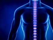 Clip Eva - Cảnh báo tư thế ngồi dễ mắc thoái hoá cột sống