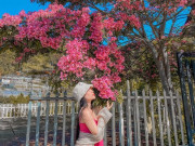 Lifestyle - Loài hoa chỉ xuất hiện vào mùa hè ở Đà Lạt, du khách mải ngắm quên cả lối về