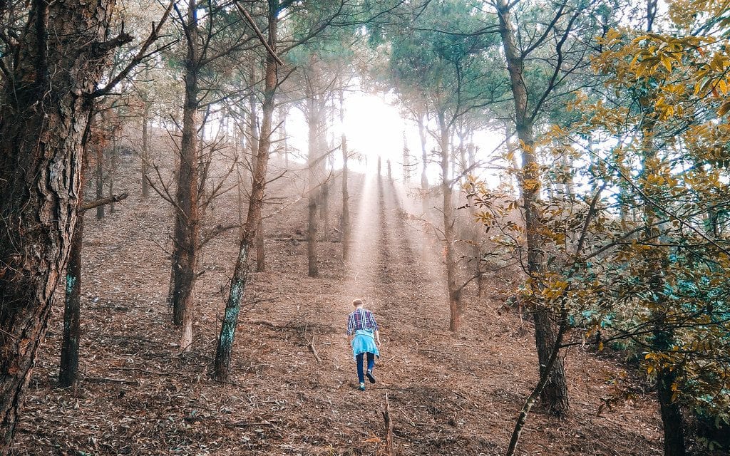 Trekking path up Hàm Lợn Mountain