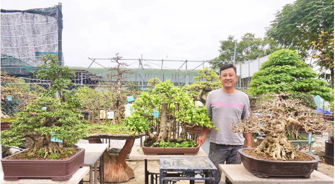 Anh Mỹ biến niềm đam mê với cây cảnh thành nguồn thu nhập ổn định