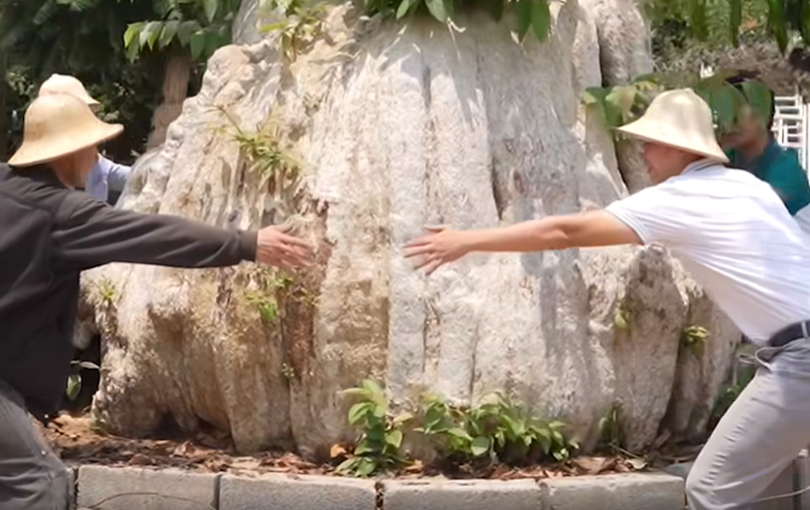 Vườn bonsai cổ thụ amp;#34;siêu khủngamp;#34; ở Tây Nguyên của chàng trai 9X, có gốc khế trăm tuổi được ra giá 5 tỷ đồng - 3