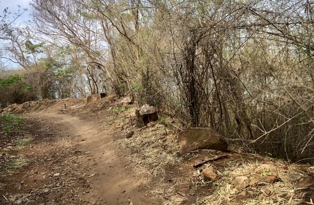 Khu vực đường lên núi Hải Đăng, nơi người dân phát hiện chiếc vali chứa thi thể cô gái. Ảnh: VOV