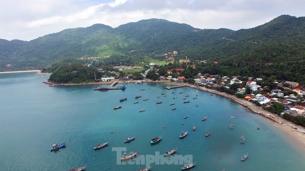 Cu Lao Cham coral reef