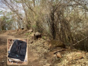 Tin tức - Cô gái bị sát hại giấu xác trong vali bỏ trên núi tại Vũng Tàu