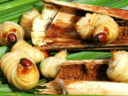 Lifestyle - Đặc sản độc nhất vô nhị chỉ có ở Cà Mau, trông sợ "chết khiếp" nhưng ngon và bổ, càng ăn càng nghiện 