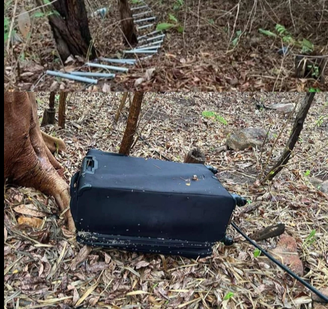 Chiếc va li chứa thi thể nạn nhân