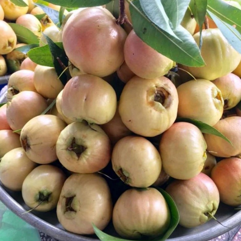 Quả này có vị ngọt, khi chín màu ửng hồng như trái táo và có mùi thơm đặc trưng