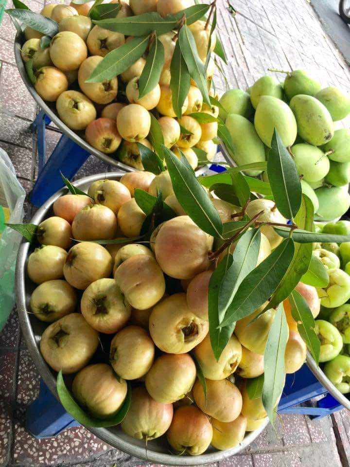 Trái lý giờ đây được bán ở thành phố khiến nhiều người thích thú và tìm mua về ăn thử