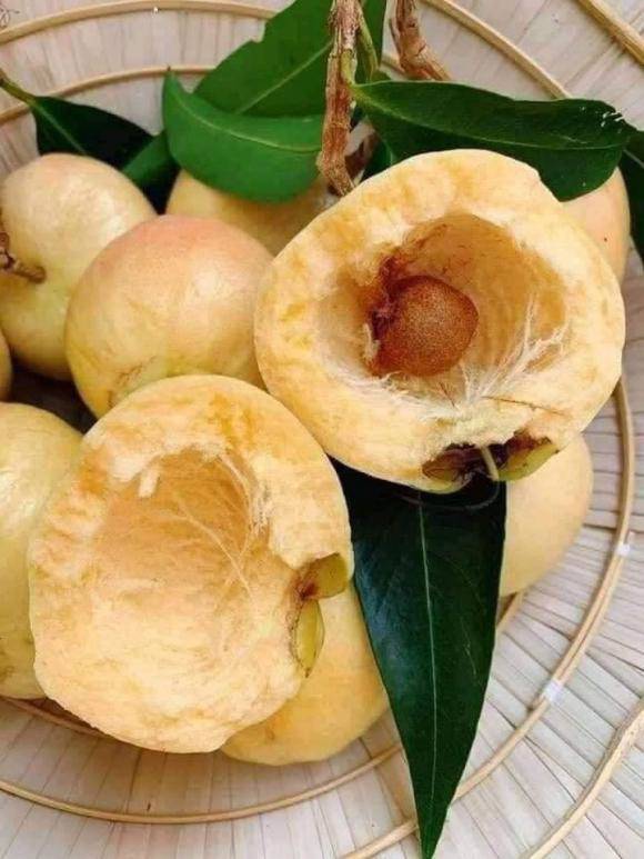 Quả này có cùi khá dày