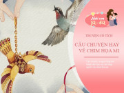Nuôi con IQ EQ - Truyện cổ tích: Chim họa mi