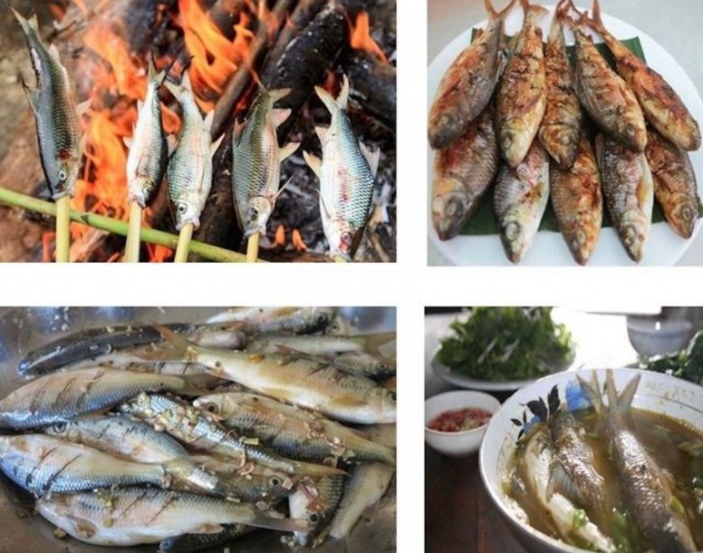 Thịt cá mát thơm ngon và bổ dưỡng, làm thành nhiều món ăn độc đáo