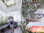 Nhà đẹp - Nghệ sĩ Chí Trung lần đầu khoe gia trang xanh mát thoáng đẹp, đủ chim gà cá chó nhưng kêu "khổ"