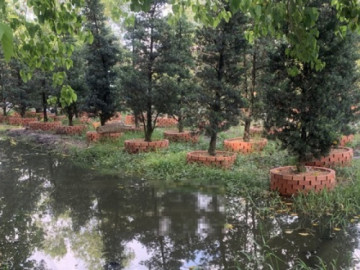 TP HCM: Người cha phát hiện con trai tử vong dưới ao nước