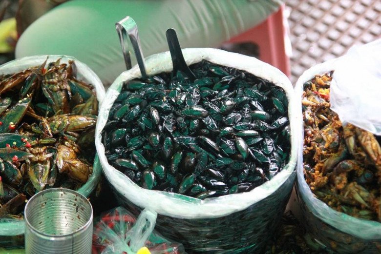 Con cà niễng có mặt trong nhiều nhà hàng, quán ăn ở Ninh Bình, thành món đặc sản đồng quê dân dã nhưng ngon nổi tiếng