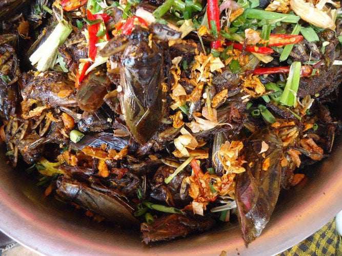 Người dân địa phương tiết lộ cà niễng rang cho thêm ít nước muối cà vào là chuẩn vị nhất