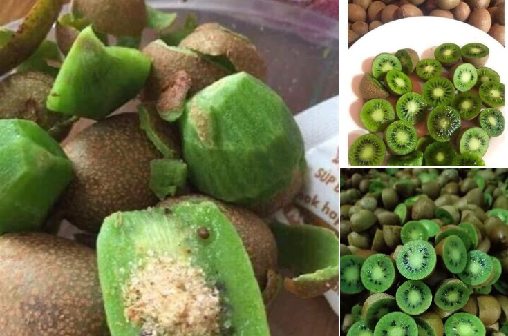 Kiwi rừng có kích thước bé, vị rất chua