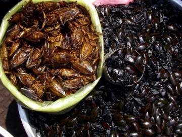 Đặc sản độc nhất vô nhị chỉ có ở Ninh Bình, nhìn nổi da gà nhưng ngon nổi tiếng, bao người muốn ăn thử
