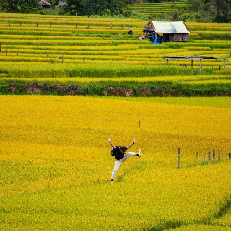 Khác với những thửa ruộng đều tăm tắp ở đồng bằng, ruộng bậc thang ở Măng Đen là những ô, thửa không đều nhau, nằm gối lên nhau tạo nên một khung cảnh độc đáo. (Ảnh: Minh Lê)
