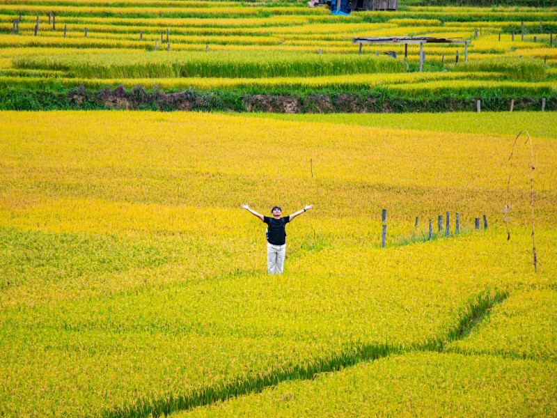 Có hai ngôi làng mà bạn có thể thấy cánh đồng ruộng lớn và đẹp nhất đó là làng Kon Vơng Kia và Kon Tu Rằng. (Ảnh: Minh Lê)
