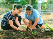 Sức khỏe - 12 “liều thuốc bổ" chẳng tốn mấy đồng lại giúp sống thọ, tránh đột quỵ và các bệnh về thần kinh