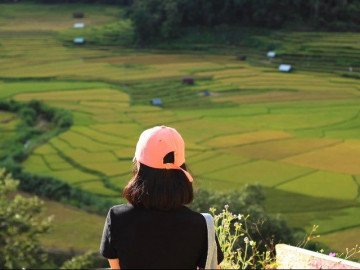 Về Măng Đen mùa lúa vàng đẹp mê mẩn, cánh đồng ruộng bậc thang uốn quanh như trong tạp chí
