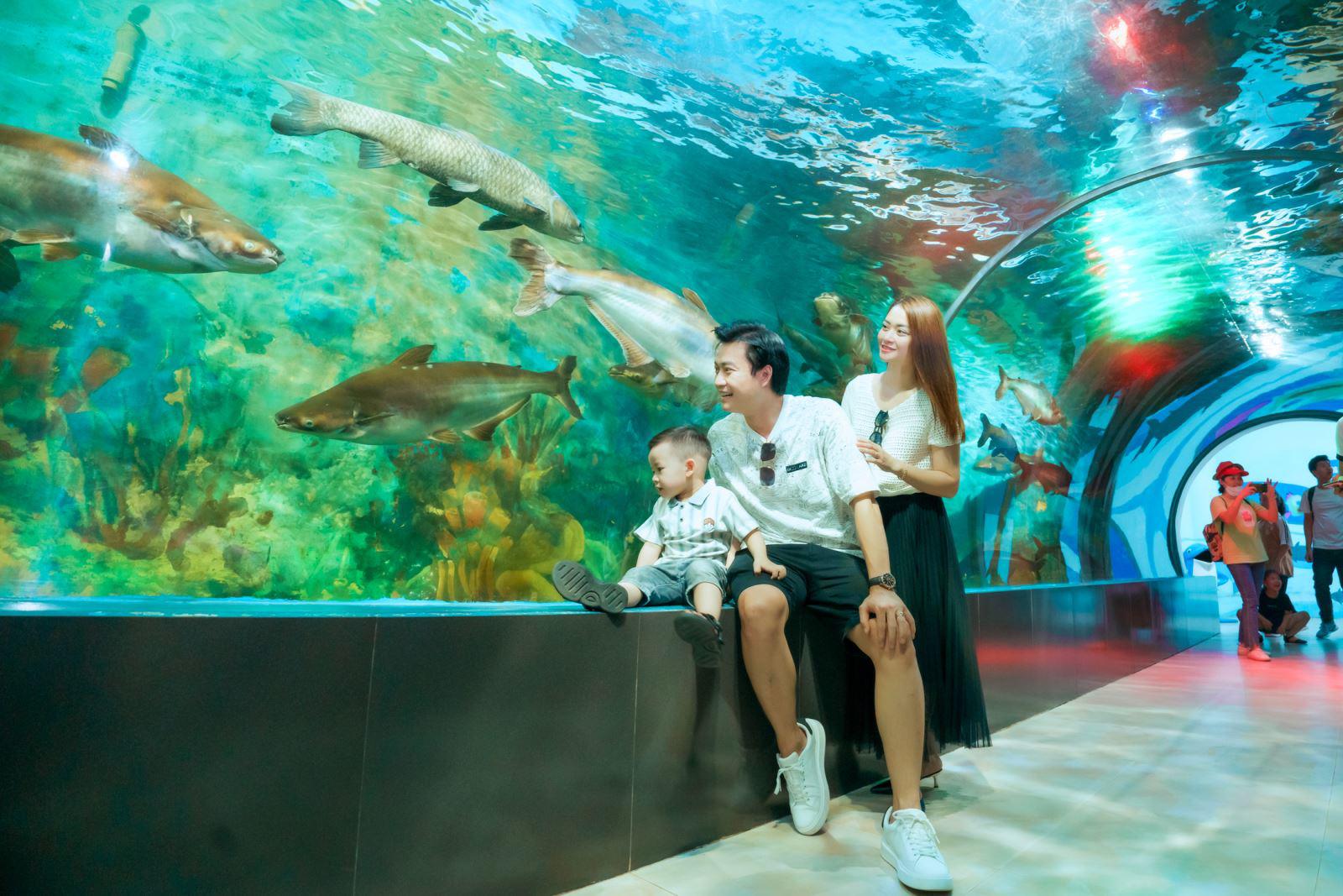 Ngoài các hoạt động vui chơi ngoài trời, Thiên đường Bảo Sơn còn có thủy cung, nơi các bé có thể chiêm ngưỡng các loài sinh vật biển đa dạng và kỳ thú.
